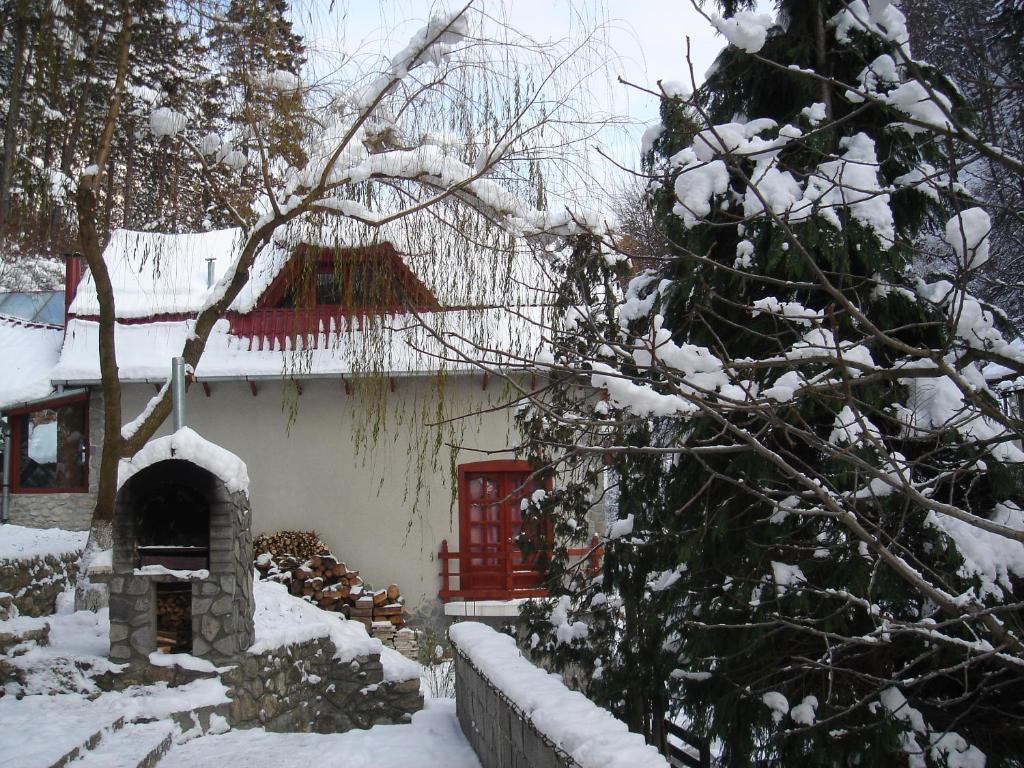 Rem'S Pension Rîşnov Luaran gambar
