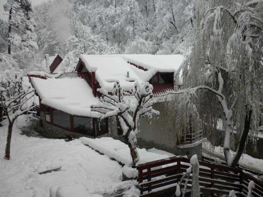 Rem'S Pension Hotel Rîşnov Luaran gambar